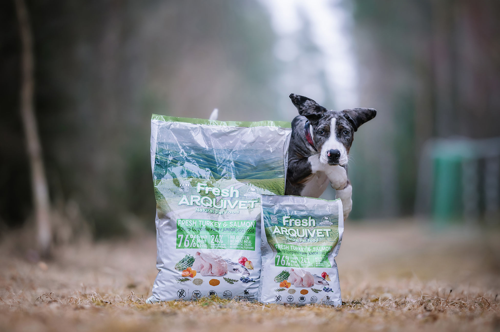 Arquivet Fresh Puppy külmpressitud kutsikatoit kalkuni ja lõhega - Image 2