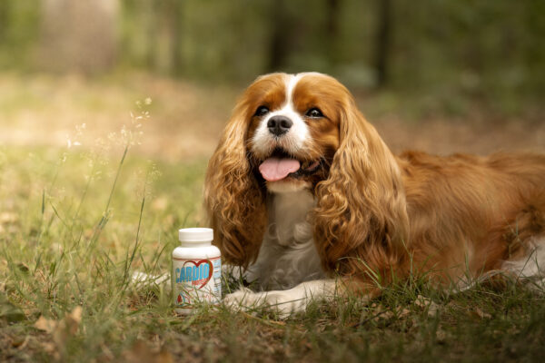 Game Dog Cardio Protect toidulisand koertele südame toetuseks - Image 2