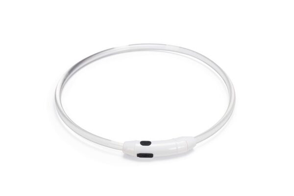 Beeztees Dogini LED kaelarihm - Image 5