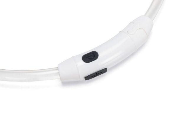 Beeztees Dogini LED kaelarihm - Image 7