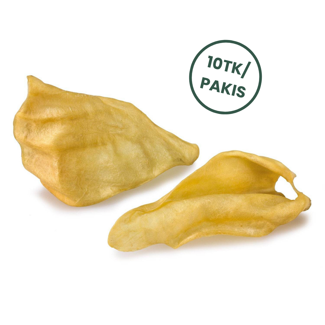 Arquivet pühvli kõrvad 10tk